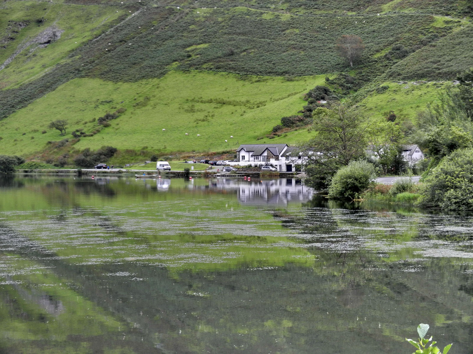 Tal-y-Llyn